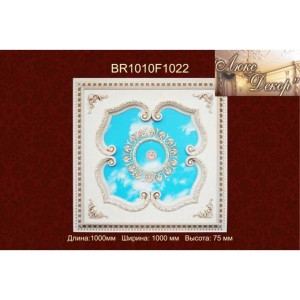 Потолочный цветной купол BR1010-F1-022
