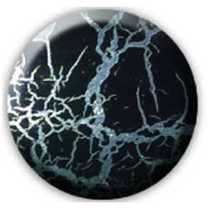 Краска с эффектом трещин - спрей 0,34кг